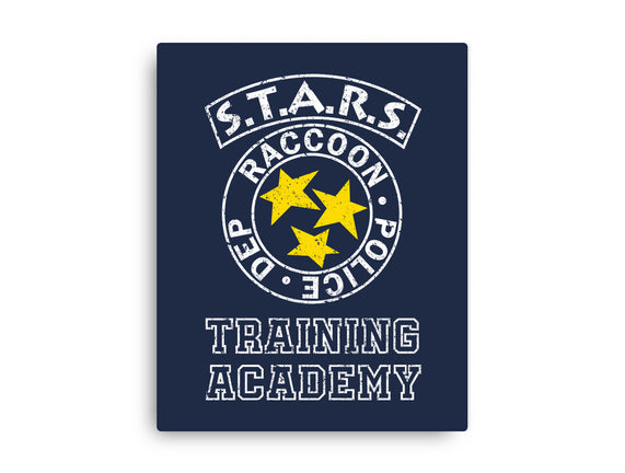 Stars Training Academy