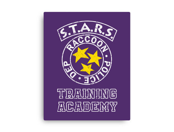 Stars Training Academy