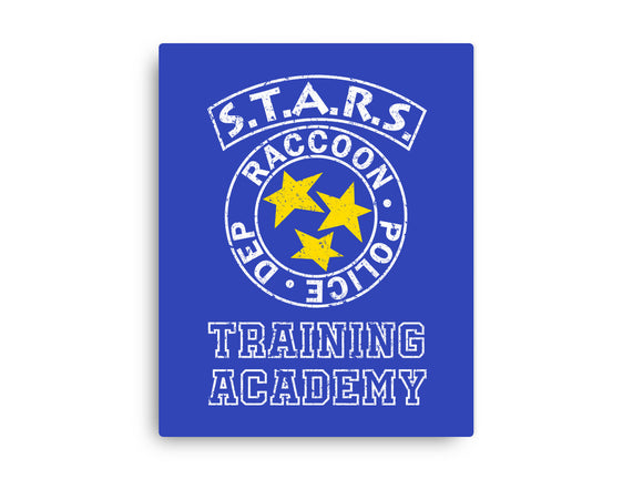 Stars Training Academy