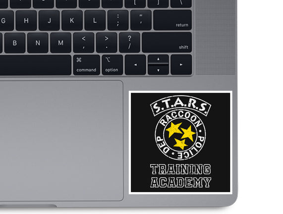 Stars Training Academy