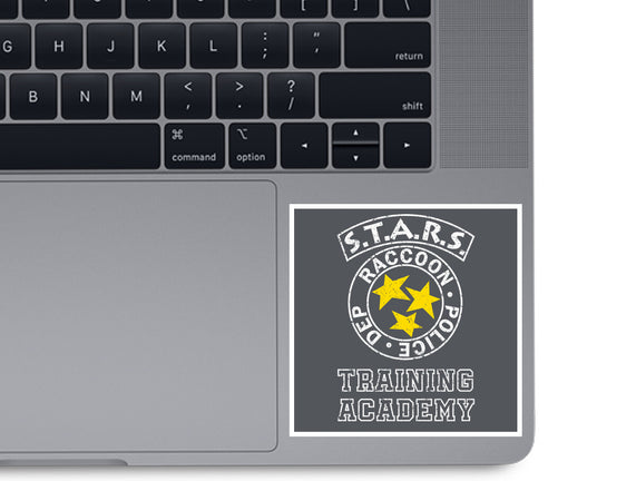 Stars Training Academy