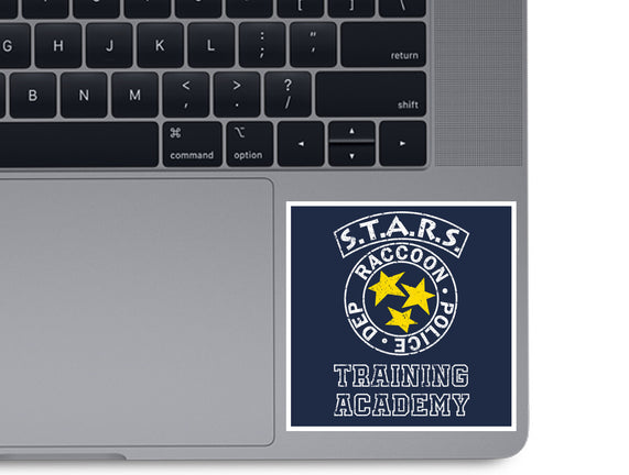 Stars Training Academy