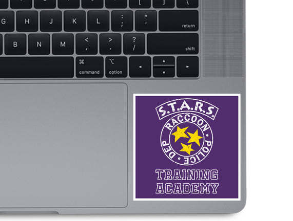 Stars Training Academy