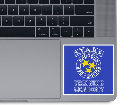 Stars Training Academy