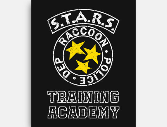 Stars Training Academy
