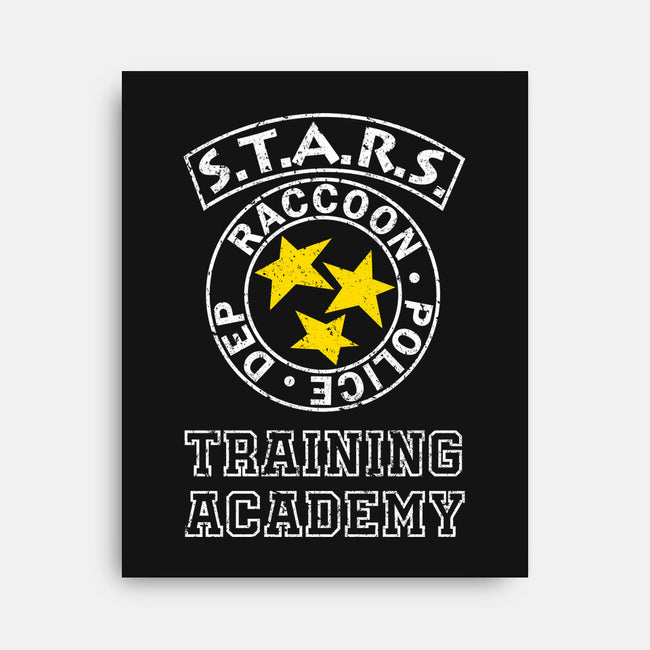 Stars Training Academy-None-Stretched-Canvas-DrMonekers