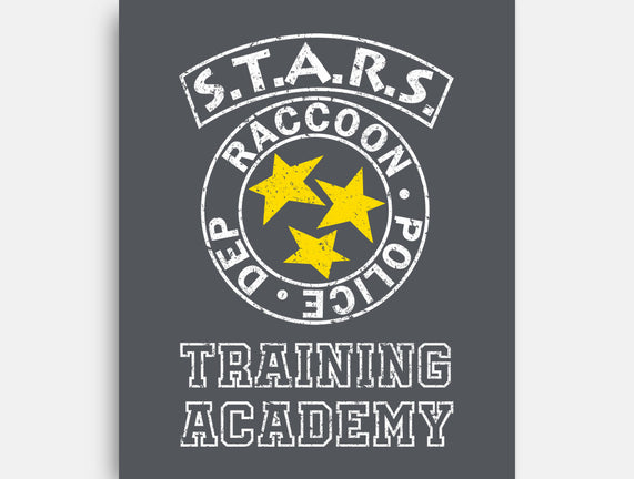 Stars Training Academy