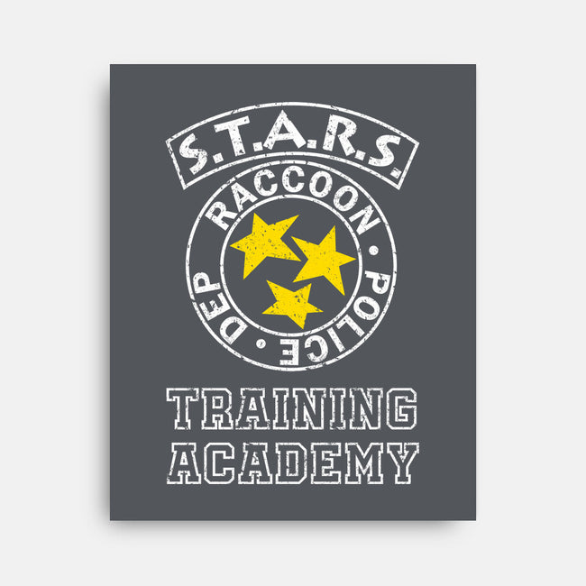 Stars Training Academy-None-Stretched-Canvas-DrMonekers