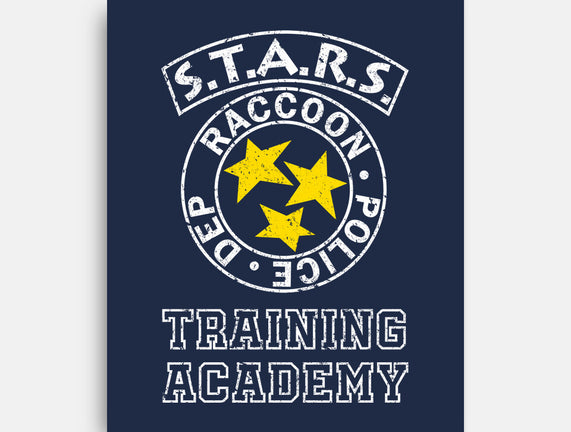 Stars Training Academy