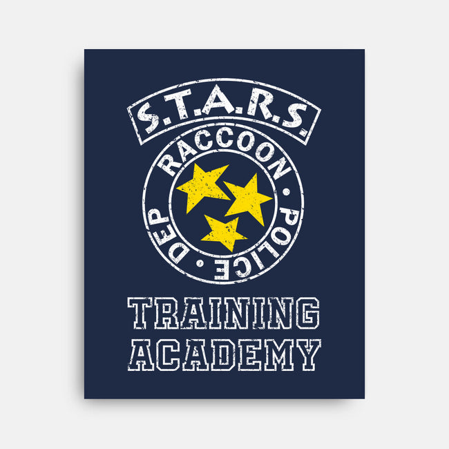 Stars Training Academy-None-Stretched-Canvas-DrMonekers