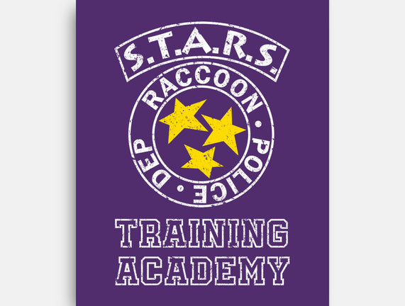 Stars Training Academy