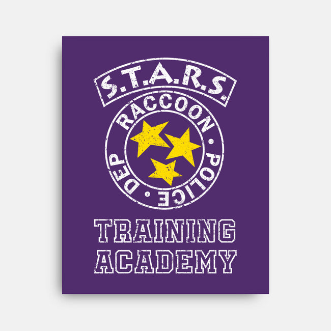 Stars Training Academy-None-Stretched-Canvas-DrMonekers