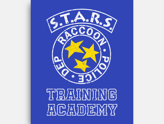 Stars Training Academy