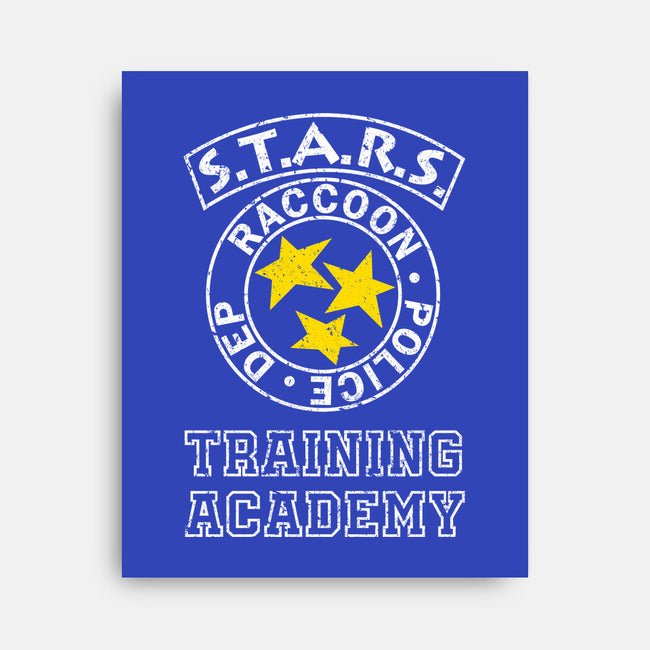 Stars Training Academy-None-Stretched-Canvas-DrMonekers