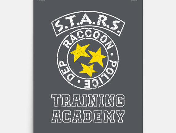 Stars Training Academy