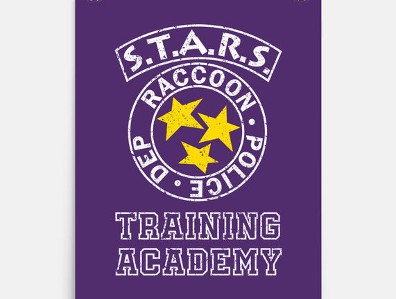 Stars Training Academy