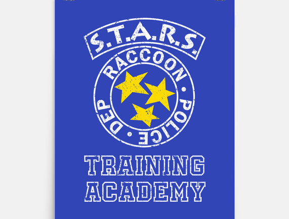 Stars Training Academy