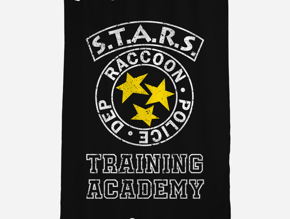 Stars Training Academy
