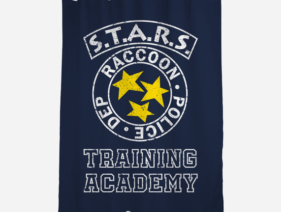 Stars Training Academy