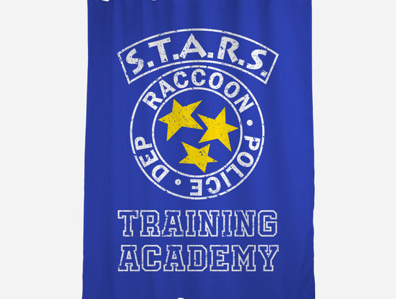 Stars Training Academy