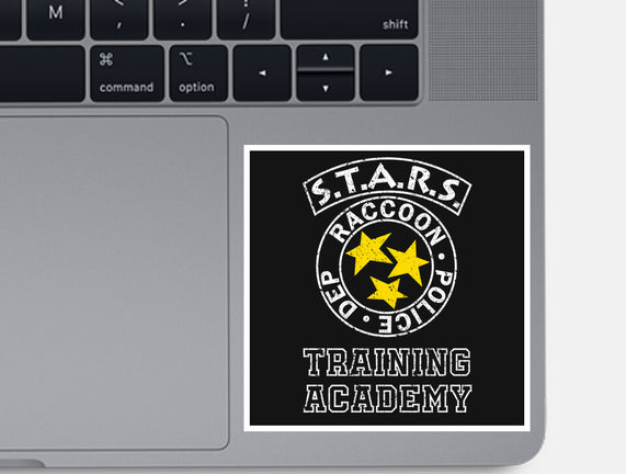 Stars Training Academy