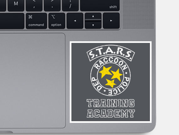Stars Training Academy