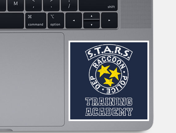 Stars Training Academy