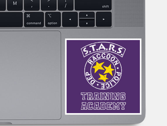 Stars Training Academy