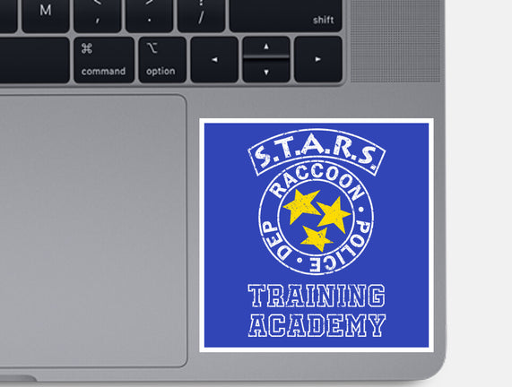 Stars Training Academy