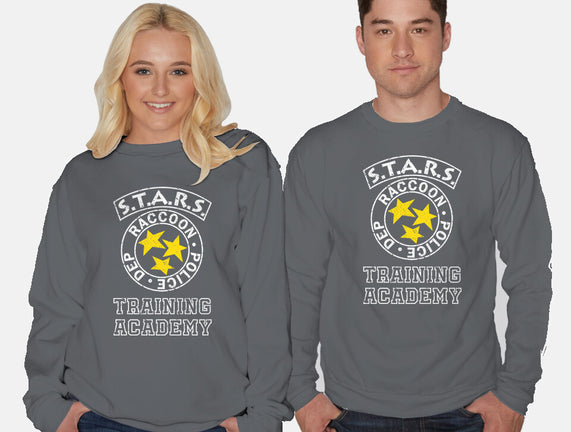 Stars Training Academy