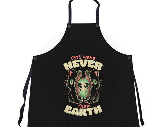 Cats Were Never From Earth