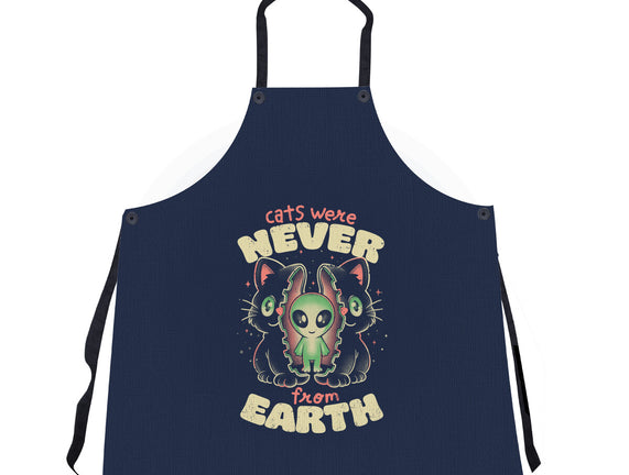 Cats Were Never From Earth