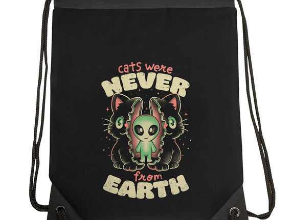 Cats Were Never From Earth