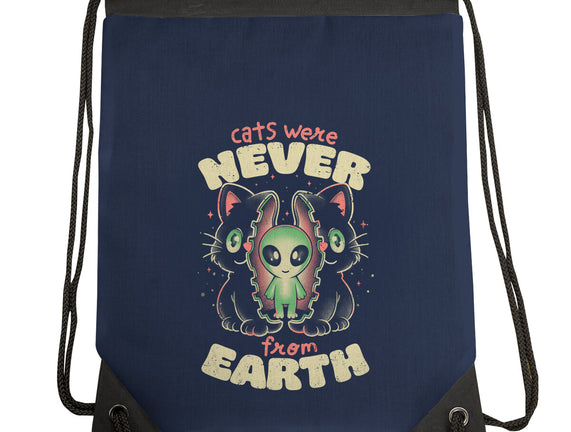 Cats Were Never From Earth