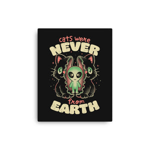 Cats Were Never From Earth