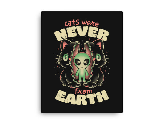 Cats Were Never From Earth
