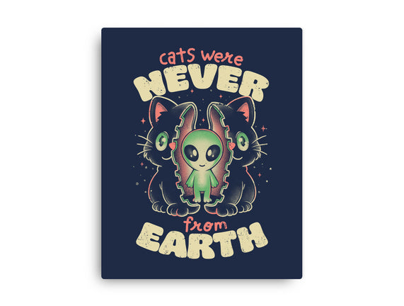 Cats Were Never From Earth
