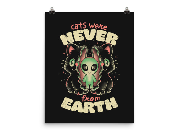 Cats Were Never From Earth