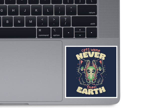 Cats Were Never From Earth