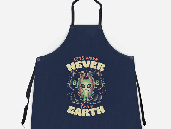 Cats Were Never From Earth
