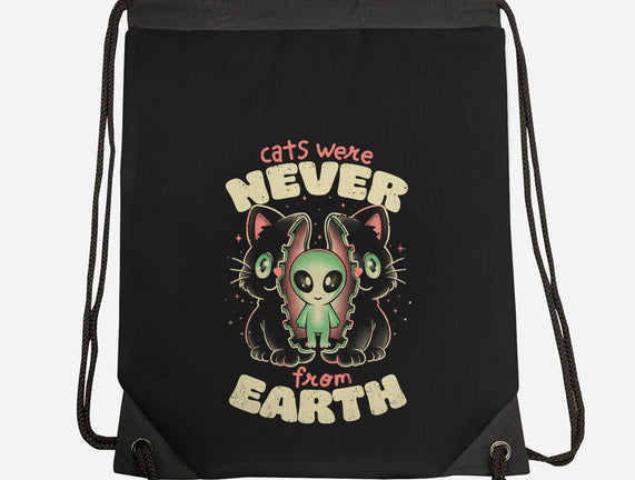 Cats Were Never From Earth