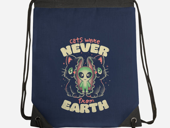 Cats Were Never From Earth