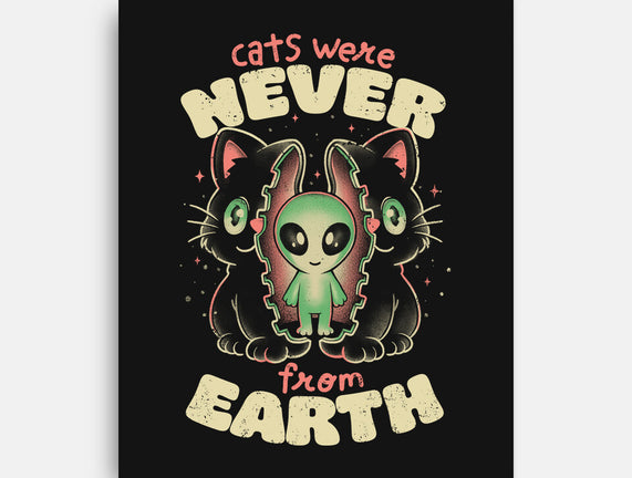 Cats Were Never From Earth