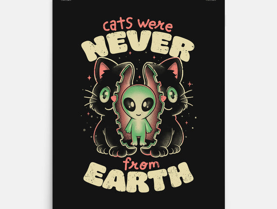 Cats Were Never From Earth