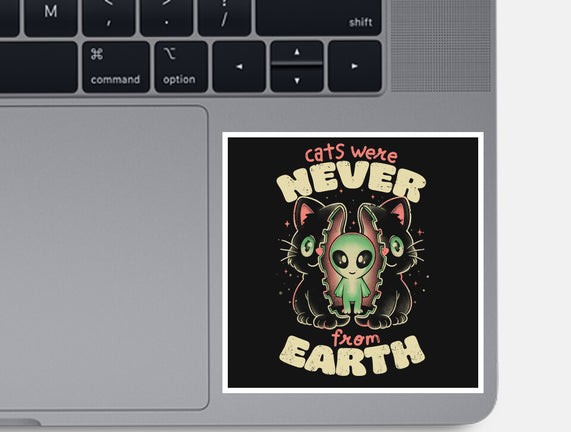 Cats Were Never From Earth