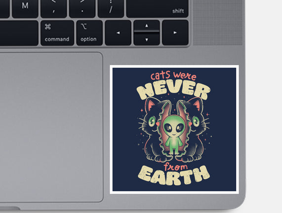 Cats Were Never From Earth