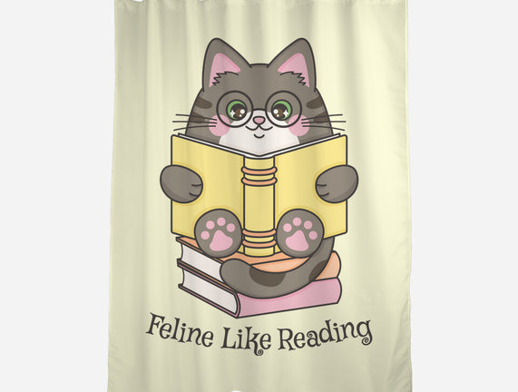 Feline Like Reading