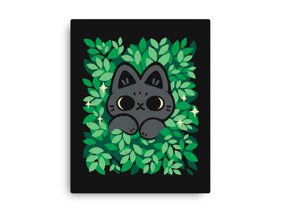 Cute Black Cat Peeking