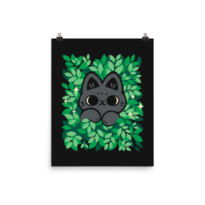 Cute Black Cat Peeking