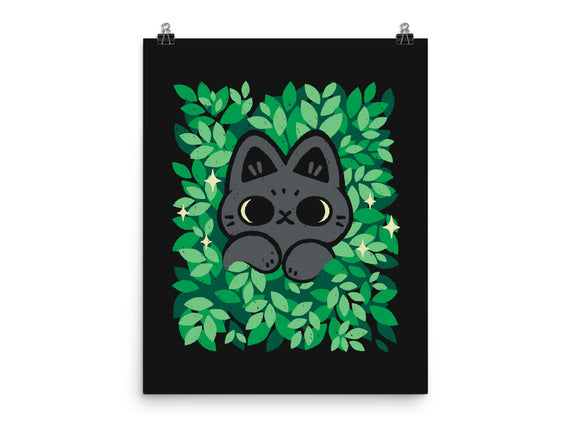 Cute Black Cat Peeking